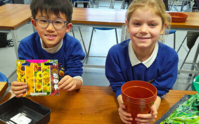 Breyer Roofing Helps School to Grow…Vegetables!